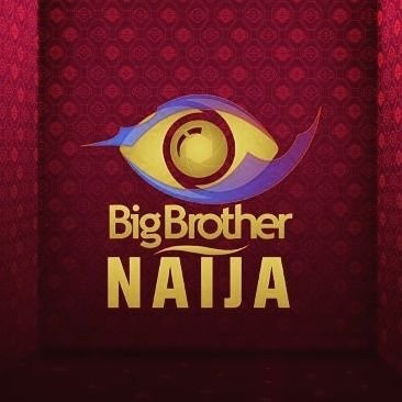 This is an official account for @bbnaija_dailyupdate follow to get latest news & updates on things happening in #bbnaija 🏚