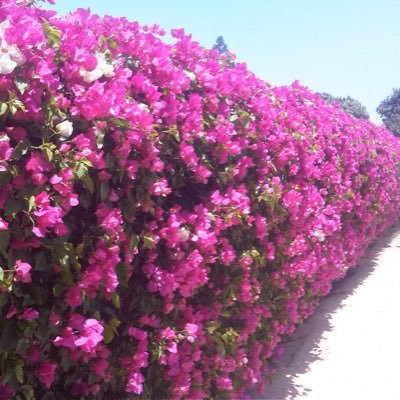 hmbassene's profile picture. 