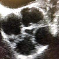e3ASE (@e3ase) 's Twitter Profile