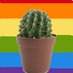 🌵 queer cactus 🌵 Profile picture