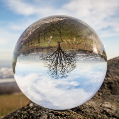 Dont_Panic_Yet's profile picture. "The urge to save humanity is almost always a false front for the urge to rule." HLMencken