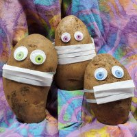MaskedPotatoes (@potatoesmasked) 's Twitter Profile