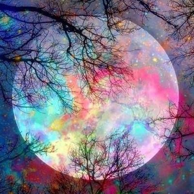 AbdsalamManar's profile picture. 