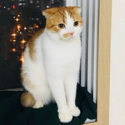 monoki0221's profile picture. Everlasting&Moomoo