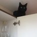 Comrade cat@birth but I've always been Billy Bragg (@mycoolchestnut) Twitter profile photo Comrade cat@birth but I've always been Billy Bragg (@mycoolchestnut) Twitter profile photo