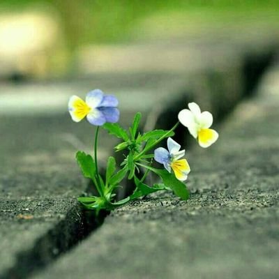 WbAl19's profile picture. 