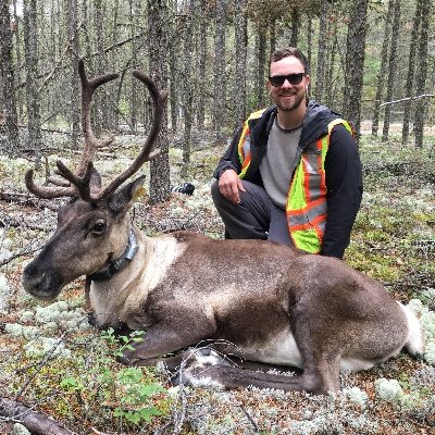 PhD Candidate @ualberta studying woodland caribou in northern Ontario. Interested in spatial/ landscape ecology. he/him