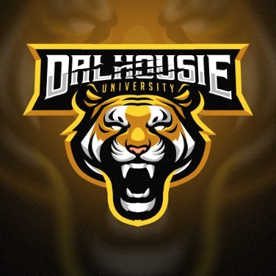 Dalhousie University's home for gaming and esports | We host teams in various games | NECC RL national champs 2022 | For business, please email: dess@dal.ca