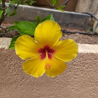 DocJulia's profile picture. Médico de familia, trabajo en la OSI Bilbao-Basurto de Osakidetza.