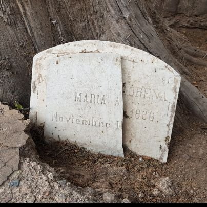 Buscamos que el Cementerio de la ciudad de Mendoza sea preservado como parte del patrimonio cultural de la provincia. Esta no es la cuenta oficial del mismo.