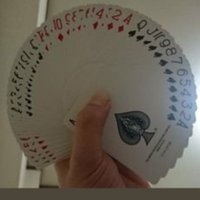 きょんじゅび(@一部記憶喪失中)🍁🍣🐧 (@kyonjubi) Twitter profile photo