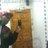 Checkn4Checks's profile image