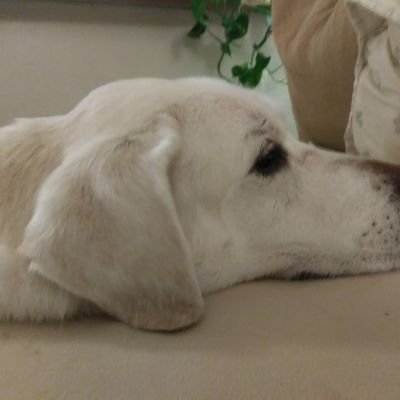 ywineculture's profile picture. 