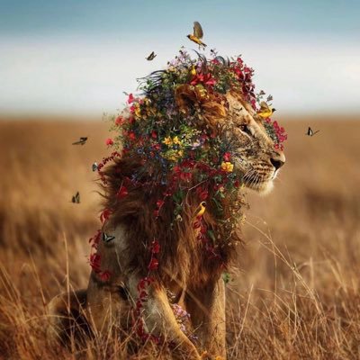 infinitecreator's profile picture. conquer self for infinite wealth 🛸