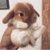 bunny bot (@rabbitsbot) Twitter profile photo