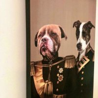 @ SEREN BEYER (@serenbeyer) 's Twitter Profile Photo