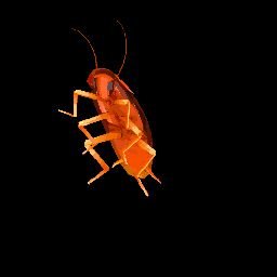 Null_D0c's profile picture. 