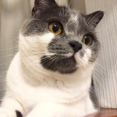 すっちさんのプロフィール画像