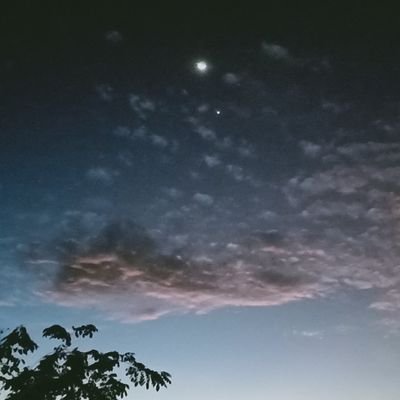 frong_frong0912's profile picture. 