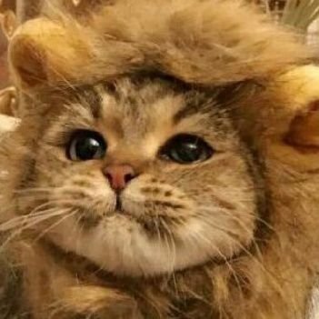 pikafwwwwww's profile picture. 