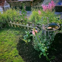 bank farm garden (@bank_garden) 's Twitter Profile