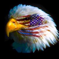 The Eagle Rises(@DavidTh35214699) 's Twitter Profile Photo