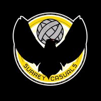 Surrey Casuals FC(@surreycasualsfc) 's Twitter Profile Photo