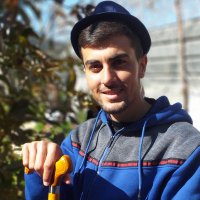 Mostafa Adwan (@mostafa_adwan2) 's Twitter Profile