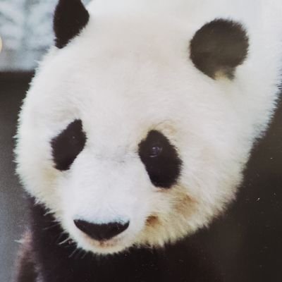 タンタンさんのプロフィール画像