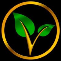VitaeToken (@vitaetoken) 's Twitter Profile Photo VitaeToken (@vitaetoken) 's Twitter Profile Photo