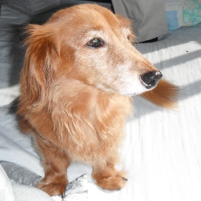 jo_juniku2's profile picture. 人物撮影が趣味のアマチュアカメラ使い。フォローはご随意に。このアカウントからのフォローはなし。写真の著作権は@jo_juniku @jo_juniku1 及び @jo_juniku2 が、肖像権は各モデル様が所持しています。
無断転載禁止。元垢（鍵垢）⇒@jo_juniku