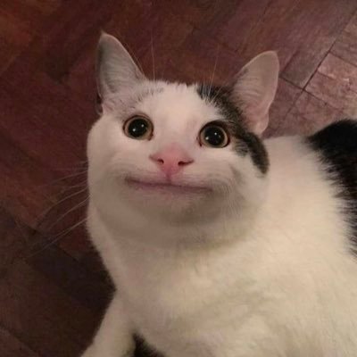 카지코우さんのプロフィール画像