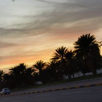 ابو عبدالله (@aarraabbii) 's Twitter Profile