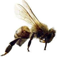 Aaron Beasley (@killabeas21) 's Twitter Profile