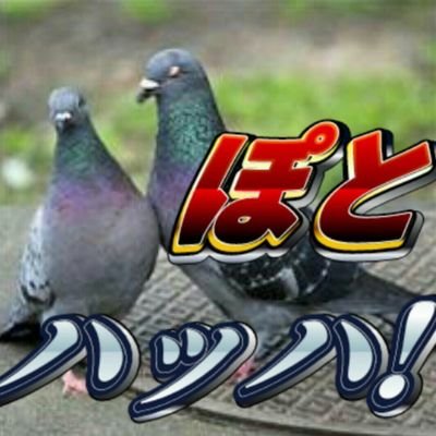 落とし穴さんのプロフィール画像