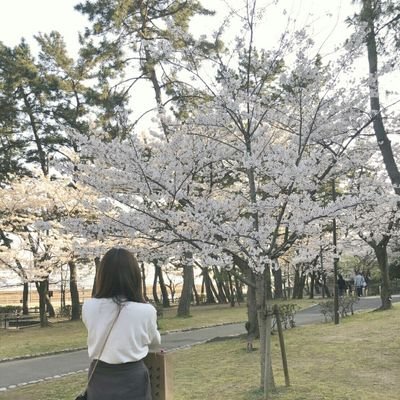 兵庫県出身です🍀阪神タイガースファンです🐯女性の方フォロバします💖無言フォロー失礼します🙇‍♂️ スコティッシュフォールドの一歳の女の子を飼っています🐱 fipについて勉強しているので良かったら色々教えて下さい