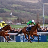 Defi Du Seuil (@defiduseuil) 's Twitter Profile Photo Defi Du Seuil (@defiduseuil) 's Twitter Profile Photo