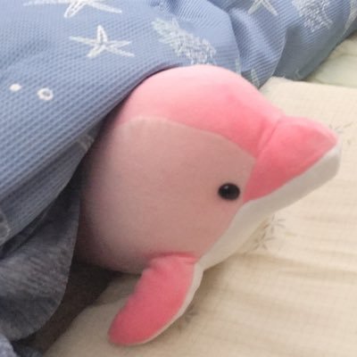 Sさんのプロフィール画像