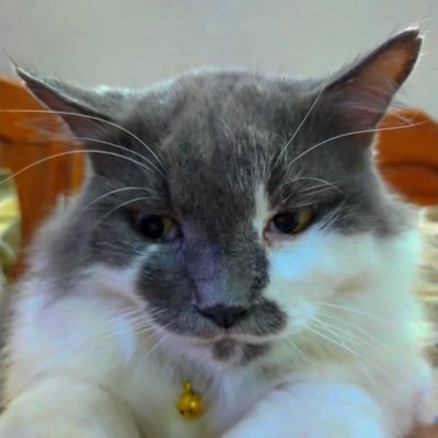 BCreed99's profile picture. 