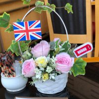 美遥 (@miharu709) 's Twitter Profile Photo