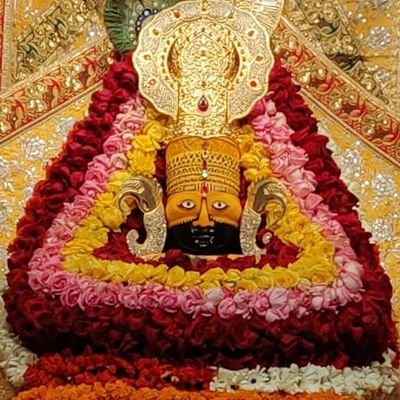 TAashirwad's profile picture. distributor of mother dairy