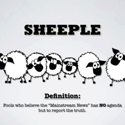 WakeupSheeple14 Profile Picture