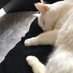 @watanabeyuki14