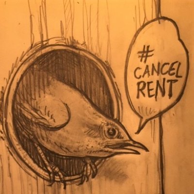 • computers bad, landlords bad, birds good

• he/him

• very nice 🐦 avatar by @GregoryJohnMer1