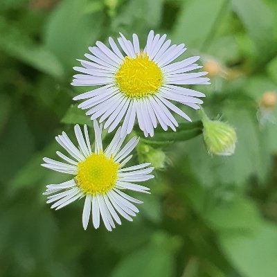 밥さんのプロフィール画像