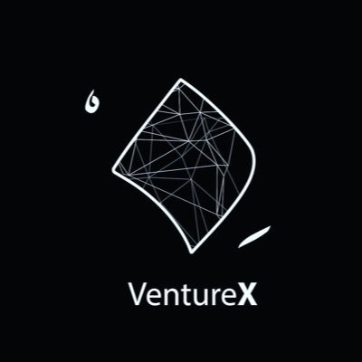 VentureX Profile