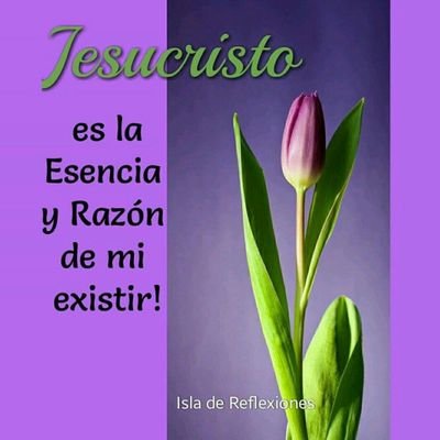 AmryHernandez1's profile picture. Dios es mi fortaleza