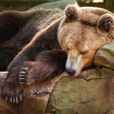 Доспехи воина тяжелее, чем ошейник раба. Потому большинство людей предпочитают ошейник доспехам.