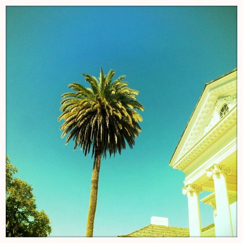 nealsumter's profile picture. 