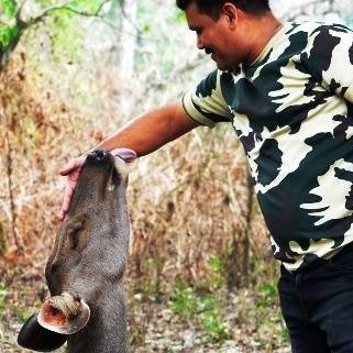 Blogger..Jungle lover.. Animal lover..Treks..Paints..Writes.. Photography..